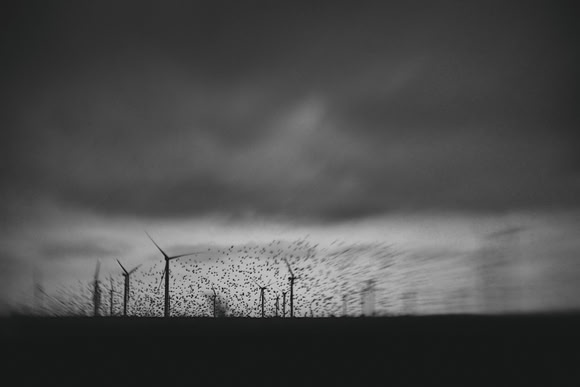 07-11-08 048-2-9