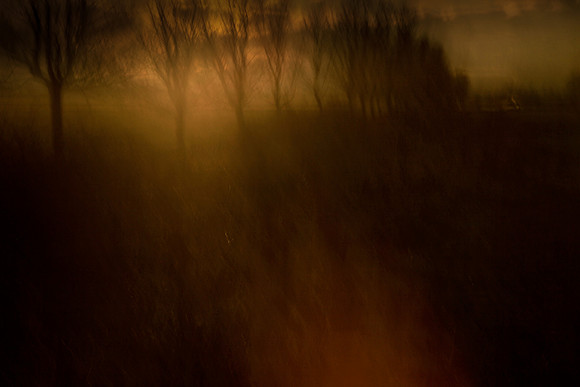 cf14_5236370506_o