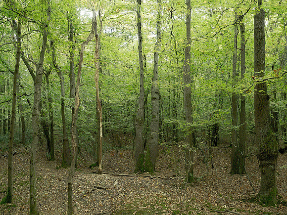 201016-2-5