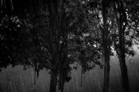 2013-09-30v2-199