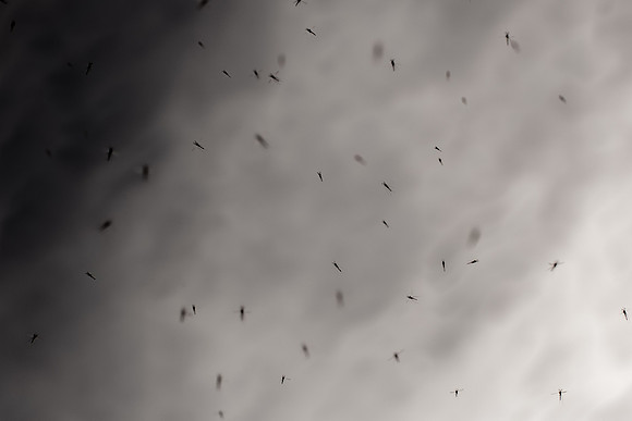100315#44