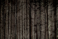 2013-10-03-218-3-2