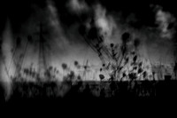 untitled-68