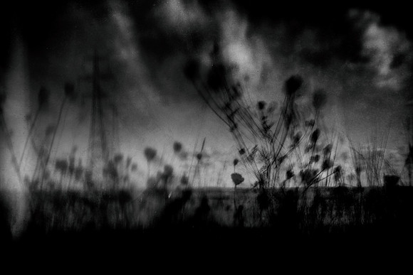 untitled-68