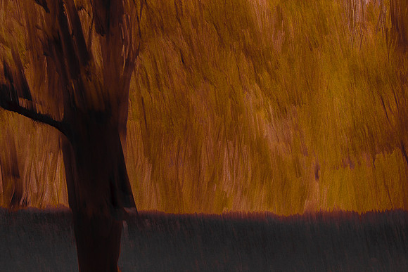 chris friel 5