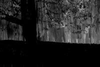 2013-09-22-346