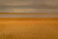 s #6