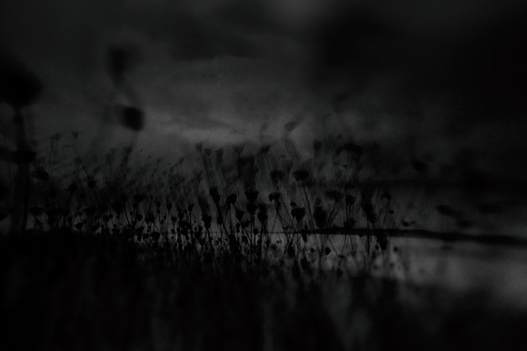 2012-10-02-291-7-2