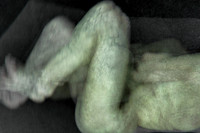 280314 #245-3