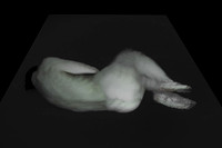 250314 #130