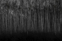101214-418