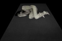 280214 #226