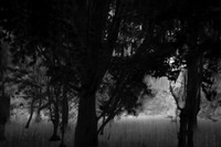 2013-09-30v2-353