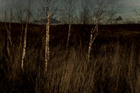 130114 #214