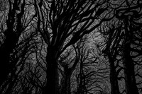 chrisfriel-5-9