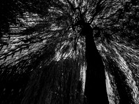 311016-2-3