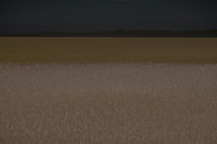 170714-11