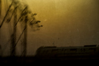 agra #13
