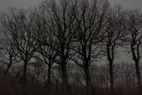 011214 #187