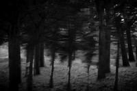 2013-09-30v2-238