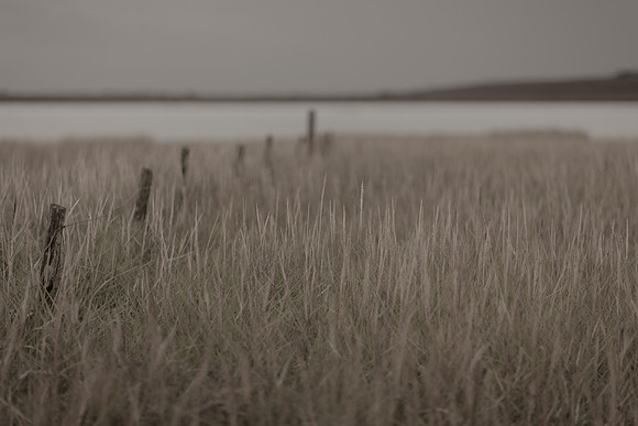 riverbank #18