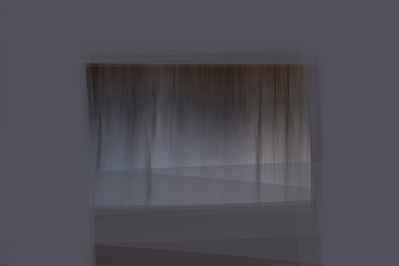 reeds 2