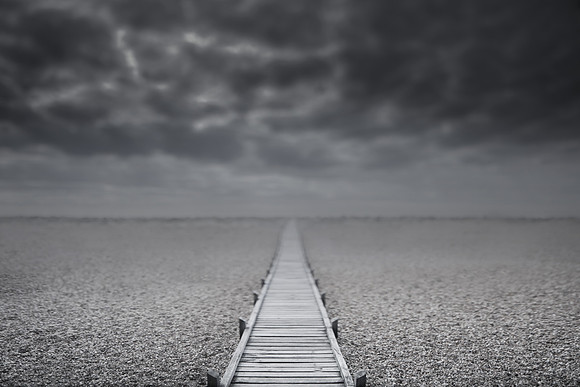 dungeness 5
