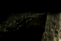 20140203-030214 #234