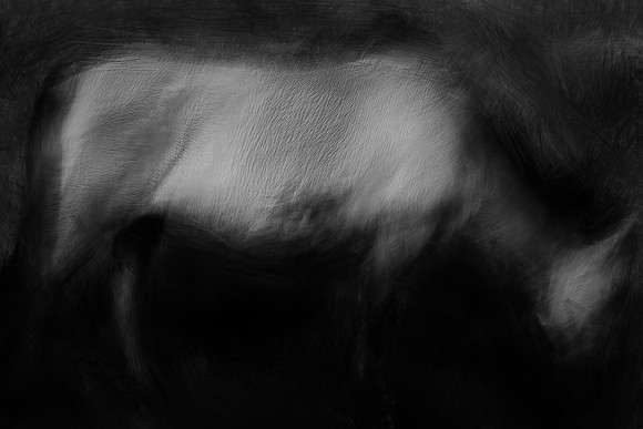 wild horses #9