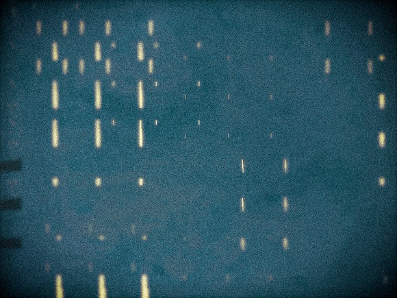 50-74