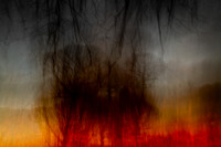 tree 3