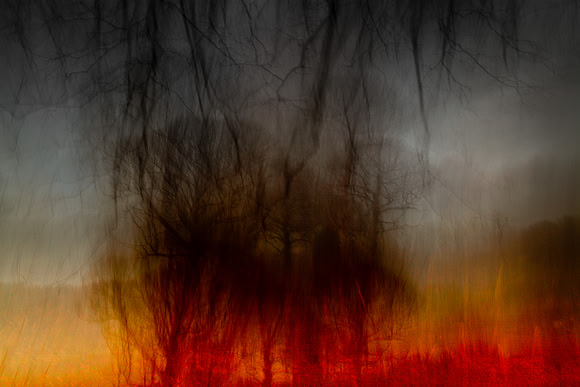 tree 3