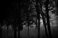 2013-09-30v2-198
