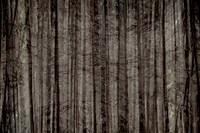 2013-10-03-218-4-3