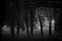 2013-09-30v2-151