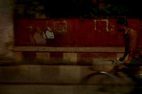 delhi #505