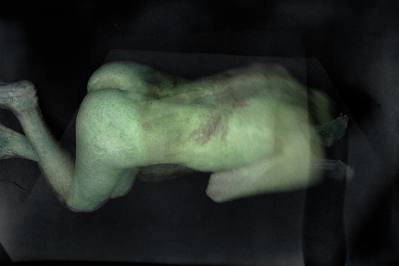 280314 #455-4