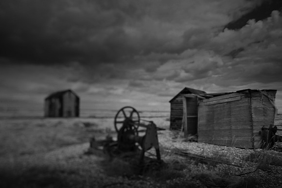 dungeness 3