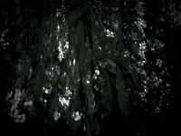 memorial-3