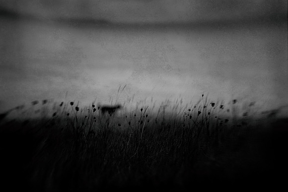 2012-09-20-95-4-2