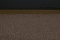 170714-16