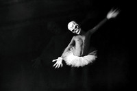 2011-07-17-75-3