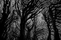 chrisfriel-5-2