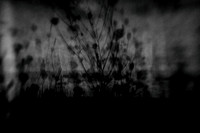 untitled-63