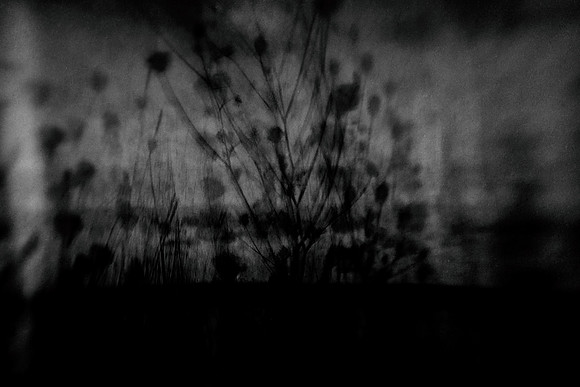 untitled-63