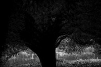 2013-09-30v2-308