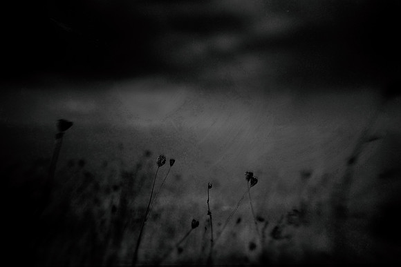 untitled-80-4