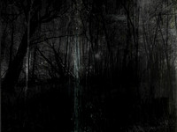 291116-5-6