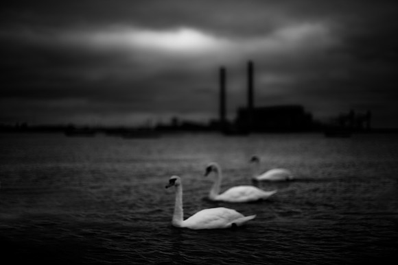 gravesend 5