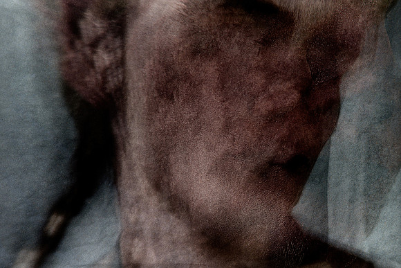 190314 #409-5-3